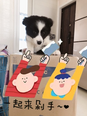 金指码K21智能锁怎么样(前车之鉴)有必要告诉大家真相