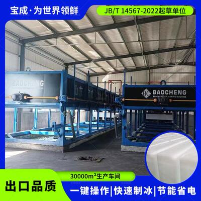 宝成5-300吨大型块冰机蔬菜水产保鲜冰块机大型条冰直冷无盐水