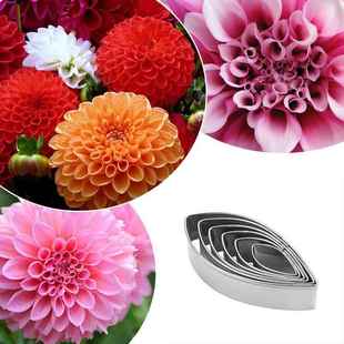 不锈钢英式 翻糖糖花朵切模大丽花造型模具6个大小尺寸A606