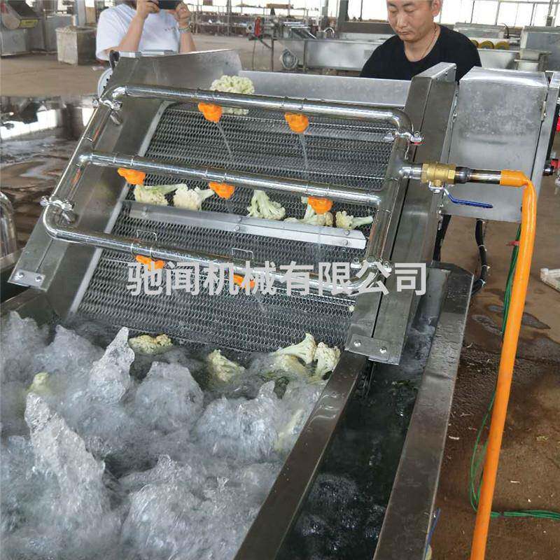 双孢菇清洗机 多功能气泡清洗机厂家 蔬菜清洗机现货 清洗风干线