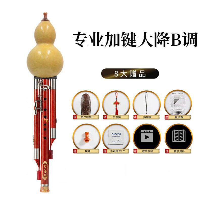正品新艺红管7孔加3键葫芦丝乐宽器 降b调c调专业音演奏型成人木