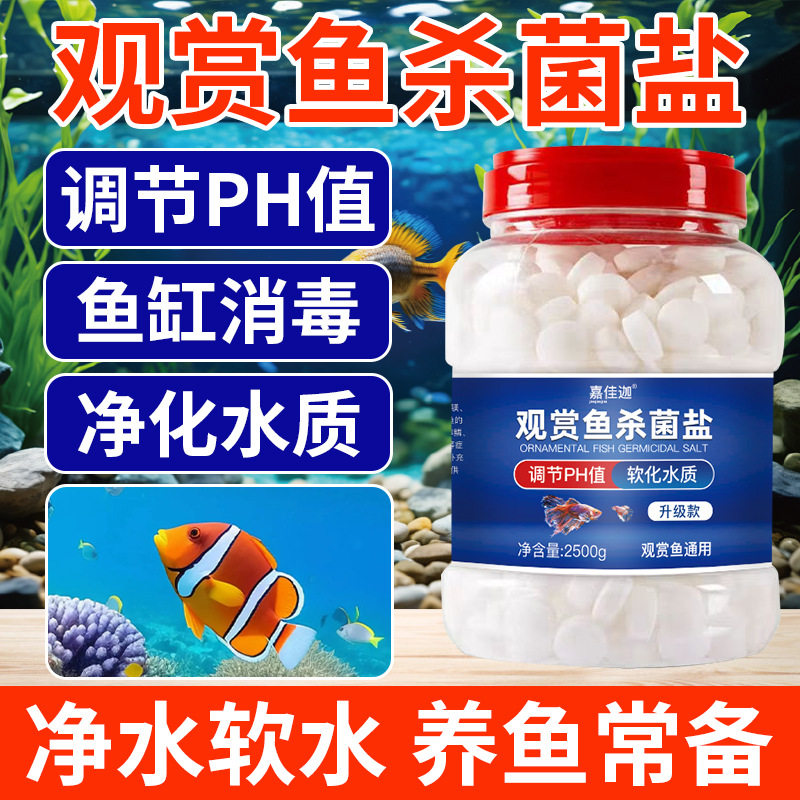 观赏鱼水族箱其它水族用具设备