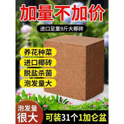 椰糠椰砖营养土大块脱盐耶砖养花椰土通用性种菜土壤家用盆栽花土