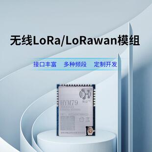 LoRaWAN模组低功耗远距离通讯470MHz/868MHz/915MHz可选AT指令集