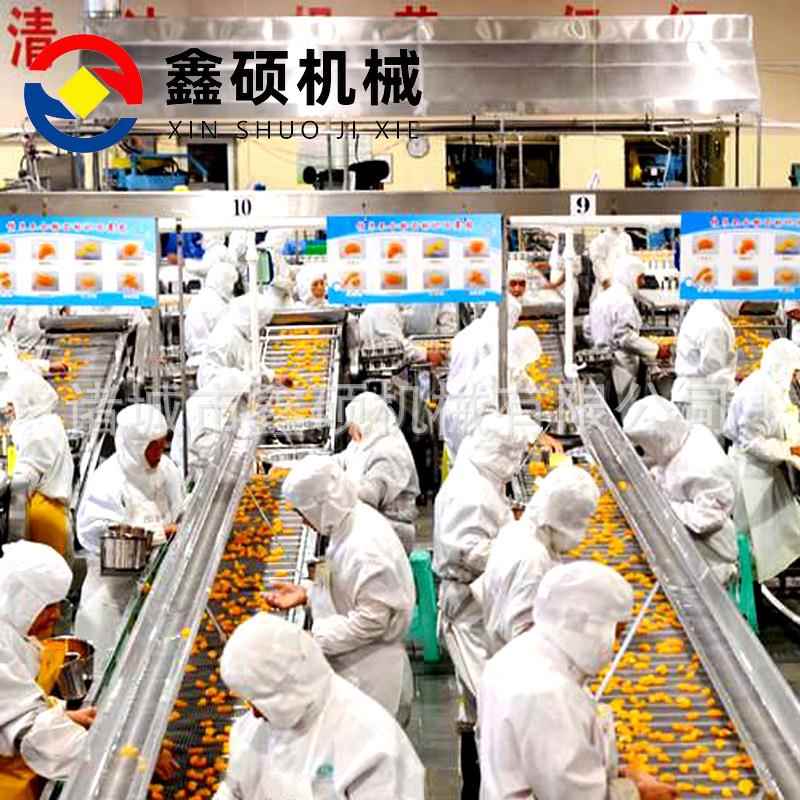 全自动水果罐头净菜清洗成套设备凤梨草莓黄桃罐头制作全套机器厂