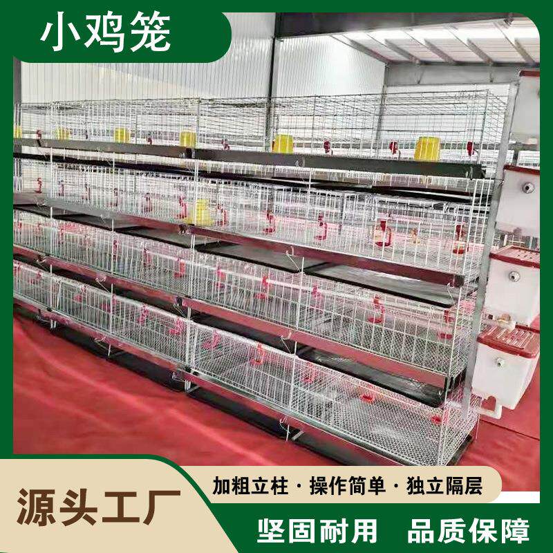 养殖场鸡舍机械用立式四层小鸡笼育雏层叠养鸡设备