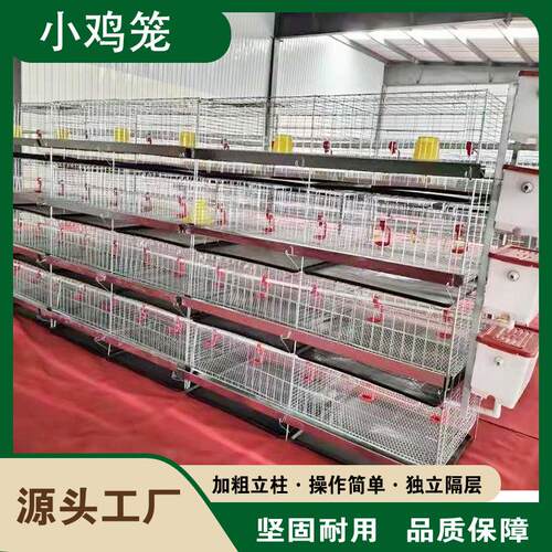 养殖场鸡舍机械用立式四层小鸡笼育雏层叠养鸡设备