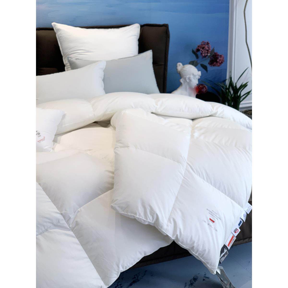 羽绒被白鹅绒被芯春秋被鹅绒被加厚保暖被子双人高端四季全棉床品