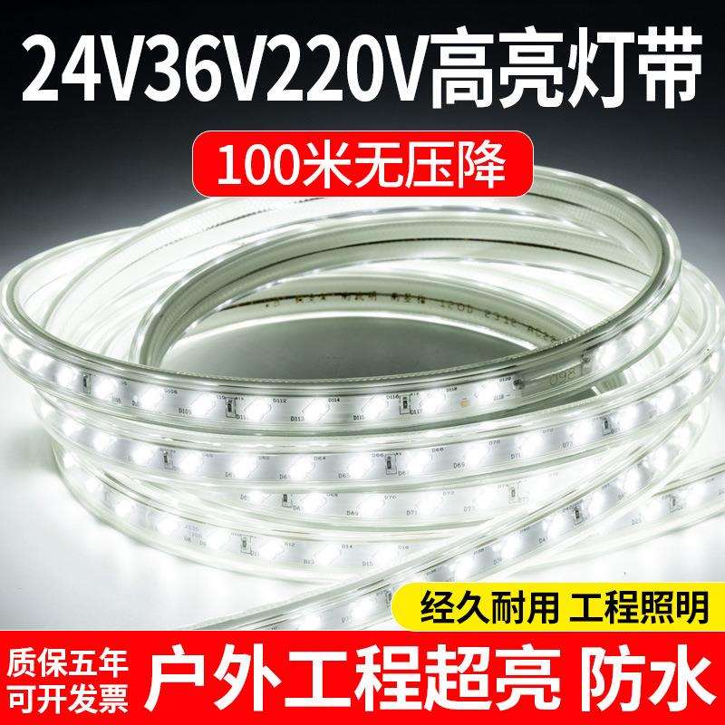 36v灯带led灯条100米220V户外防水养殖场工地照明隧道船用24V低压