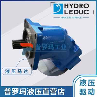 HYDRO-LEDUC 力度克N0582488斜轴泵 FR-54122车辆机械专用M63马达
