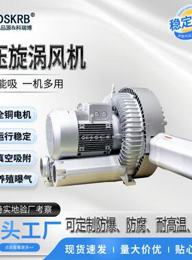 RB-94S-3真空气力粉体输送旋涡高压风机25KW双叶轮高压旋涡气泵