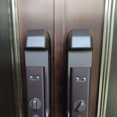 德施曼Q6智能指纹锁怎么样?消费者评价大曝光