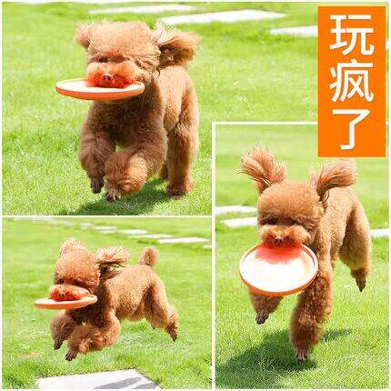 宠物边牧小型犬幼犬小狗柔软飞盘狗专用狗狗玩具耐咬户外训狗飞碟