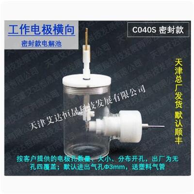 天津艾达恒晟 工作电极横向 C040常规/C040-S密封 原厂发货