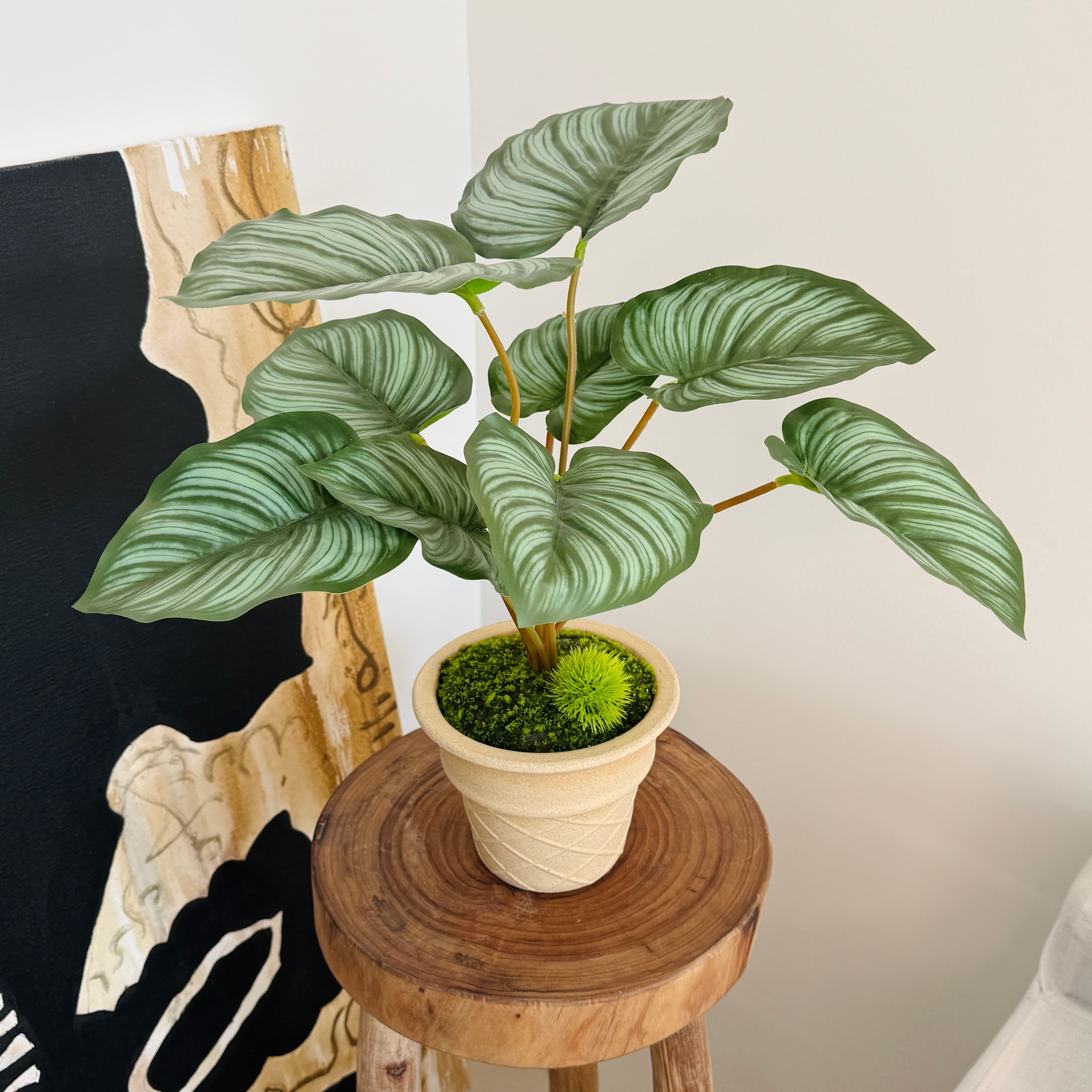楼夏家彷真绿色植物盆栽窗台玄关餐桌摆件家居装饰办公室彷真植物