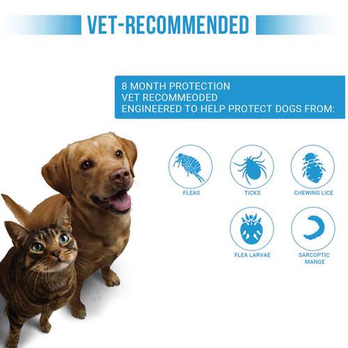 Anti Flea Ticks Collar For Cats Dog Pet Antiparasitic 8 Mont