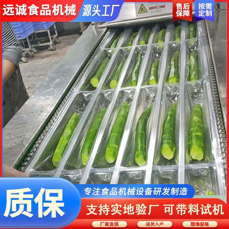 食品真空装机全动连续远诚设拉伸膜真空包包装机械牛肉羊排真空自