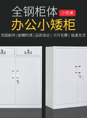 CJ-006南加厚文件铁皮柜矮柜抽屉柜宁案柜床活动柜档办头公柜带锁