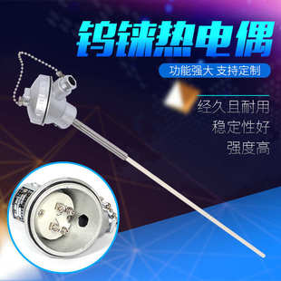 厂家销售批发 WRe26 支持定制 1800℃刚玉管钨铼热电偶WRe5 供应0