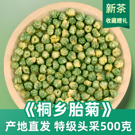 菊花茶桐乡胎菊王正宗头采特级杭白菊500g散装茶叶贡菊花草茶袋装