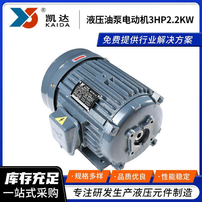 厂家生产液压油泵电动机3HP2.2W液压系统站机组电机
