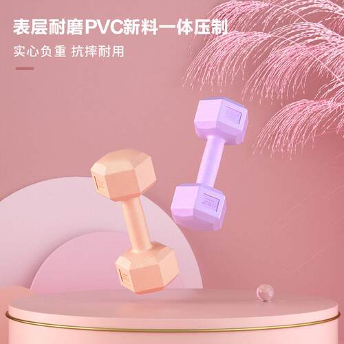 Dumbbell Girl Fitness Equipment Set Little Dumbbells健身器材