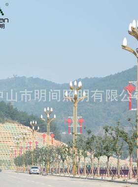 源头厂家户外大型景观玉兰路灯 直销8米9米12米九火LED中华灯
