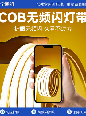 护眼无频闪COB灯带室内家用客厅吊顶电视背景墙220v自粘LED软灯条