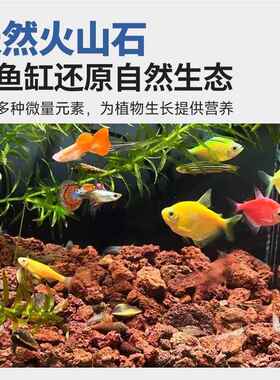 火山石乌龟专景养用鱼缸通用种菜花颗石大块68581滤材造过滤净粒