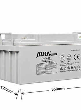 JIUHUA蓄电池12V65AH质保三年6-FM-65 UPS/EPS直流屏电源专用