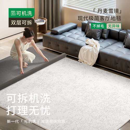 可拆洗地毯客厅意式极简轻奢可机洗水洗双层地垫大面积全铺现代