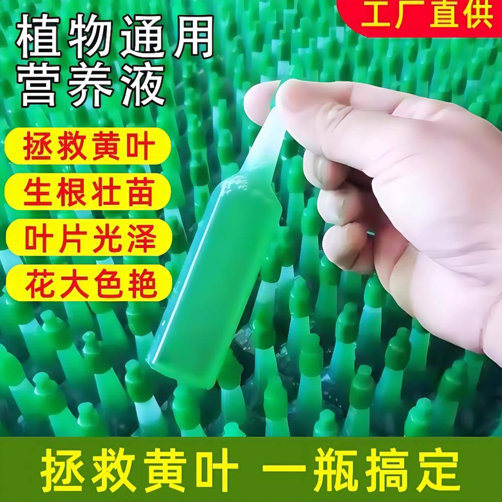 植物营养液通用型家用盆栽发财树富贵竹绿萝水培花卉绿植养花肥料