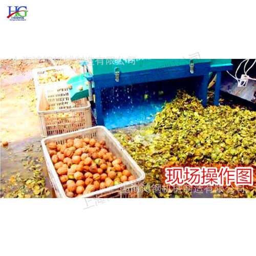 青核桃脱皮清洗机 旋切式鲜果实剥皮器 小型果子洗脱一体设备
