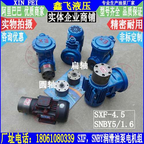 SXF-4.5-2双向油泵防爆电机组 减速机齿轮箱润滑泵YB3-63M2-4