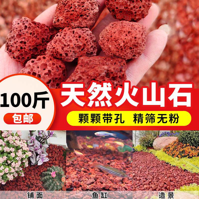 天然火山石100斤颗粒养花兰花鱼缸专用滤材精品大块红色基地直发