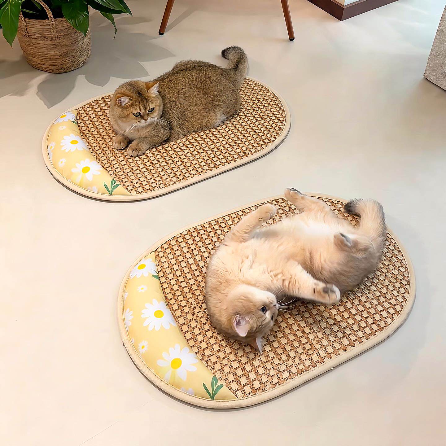 宠物冰垫猫咪凉席凉垫狗狗夏天睡垫夏日猫窝冰凉垫舒适透气趴趴垫