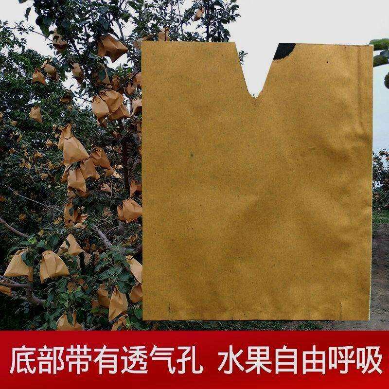 桃子黄梨子水蜜桃单双层加厚蜡纸厂家袋子防虫水果套袋