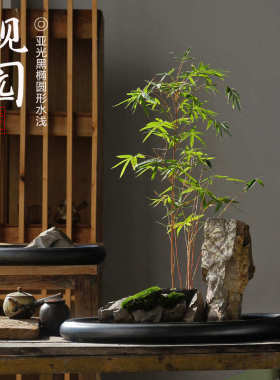 陶瓷黑色大口径浅拼盘米竹菖蒲多肉古典造景枯山水景酒店桌面花盆