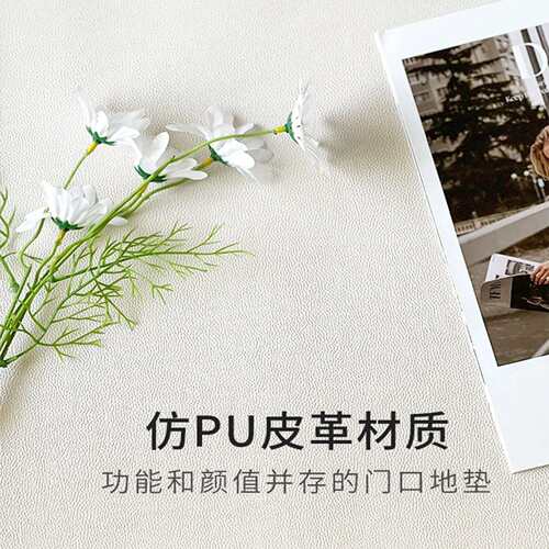 黑色入户门地垫门外可擦免洗进门门垫脚垫pvc耐脏高级入门口地毯
