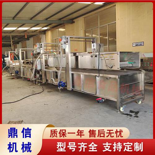 商用压果蔬净菜机食材小型气泡清洗机多功能生姜清洗脱皮机