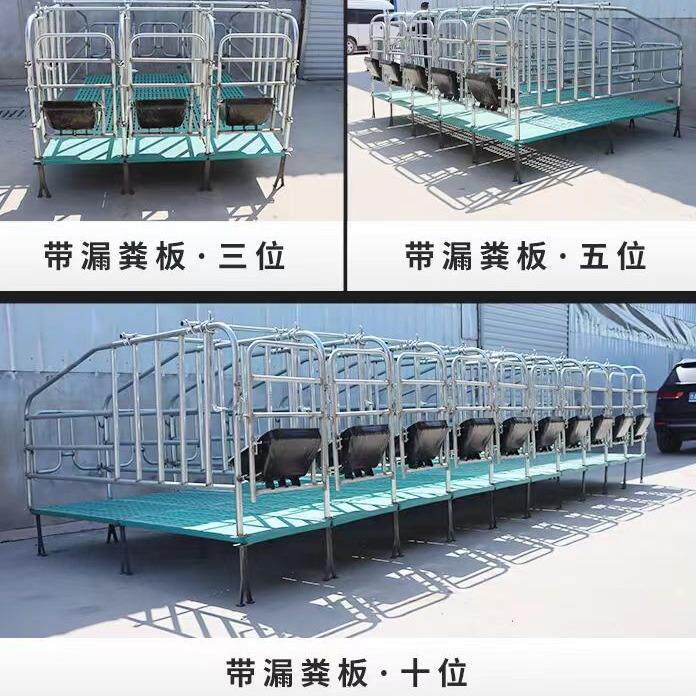 母猪定位栏母猪限位栏带漏粪板母猪定位栏十位一组