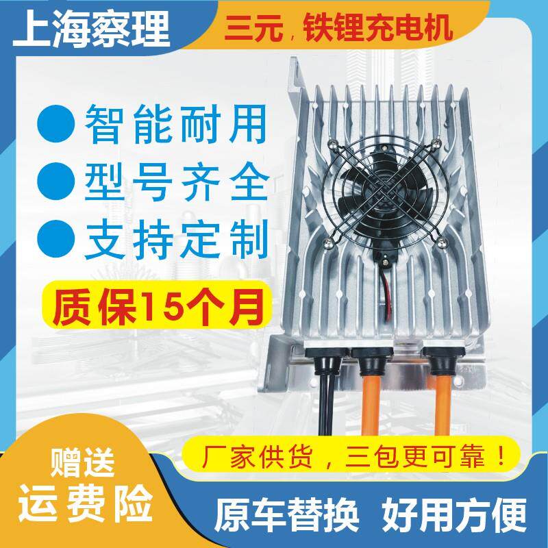 48V60V72V三元锂电池充电器,大功率磷酸铁锂雷丁鸿日丽驰充电机