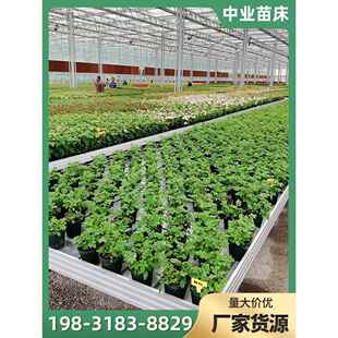大棚灌溉移动网苗床多肉潮汐托盘育苗架子育苗床网片床架育苗床架
