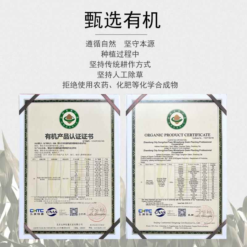学子饭桌东北皮薄新鲜1斤发豆芽汤粥材料大粒新 有机绿豆