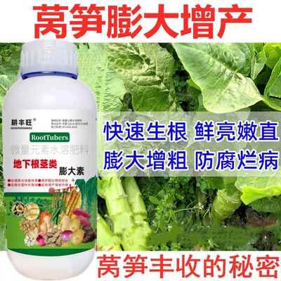 莴笋膨大素三控粗嫩壮莴笋专用肥增产叶面肥莴苣增粗剂莴笋膨大剂