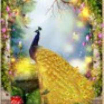 走廊玄关竖版过道5D钻石十字绣满钻全贴钻石画梦幻童话仙境金孔雀