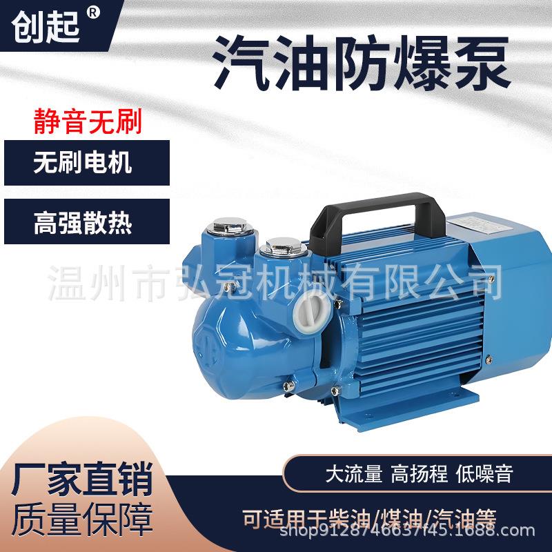 汽油柴油防爆抽油泵12V24V220V车载加油机导油泵大流量自吸甲醇