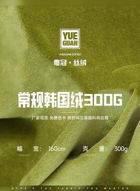 300g韩国绒面料金丝绒布料丽丝绒南韩绒单面绒不倒绒弹力丝绒针织