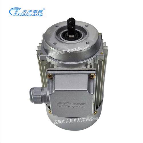 TIANYANG天洋电机YS5612 0.09KW 立式转数2800RPM 3~AS.MOTOR马达