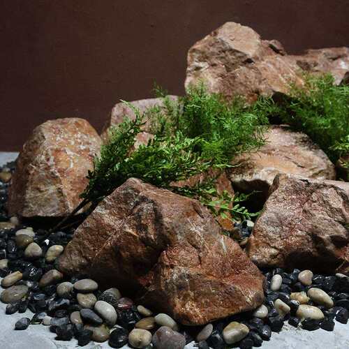仿真石头泡沫假石园林山石景窗观石橱商场造VRT影景黄装饰摆件摄